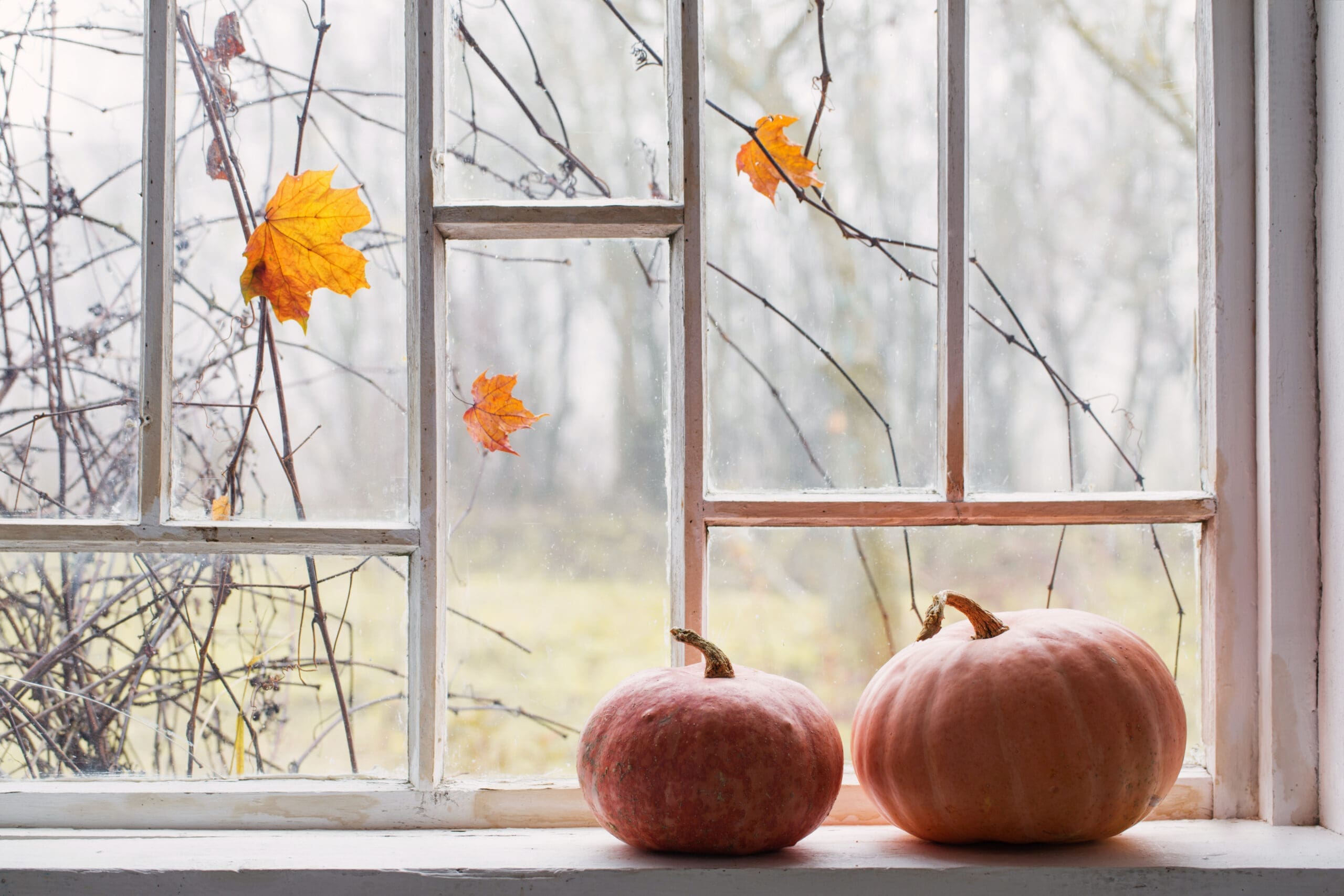 Olf Window Why Old Windows Are Scarier Than You Think - RbA Greater Wisconsin